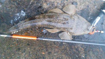 仕事前の朝練で三目キャッチ