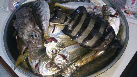 タカベ大好きっ