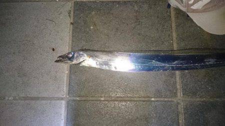 タチタチ釣りました