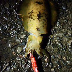 遠征１日目  九鬼＆須賀利編