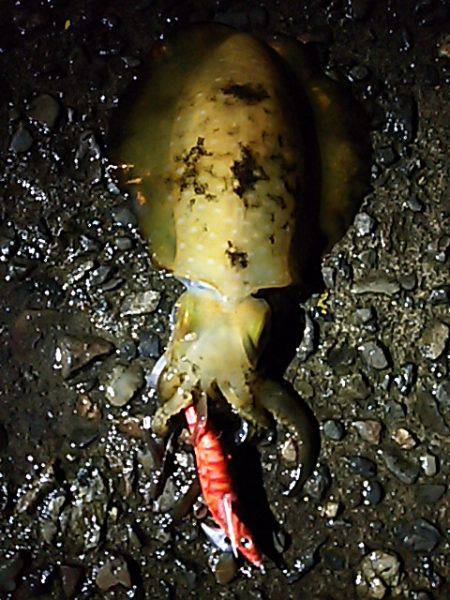 遠征１日目  九鬼＆須賀利編