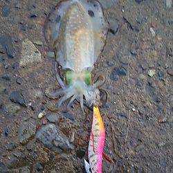 遠征２日目 須賀利編