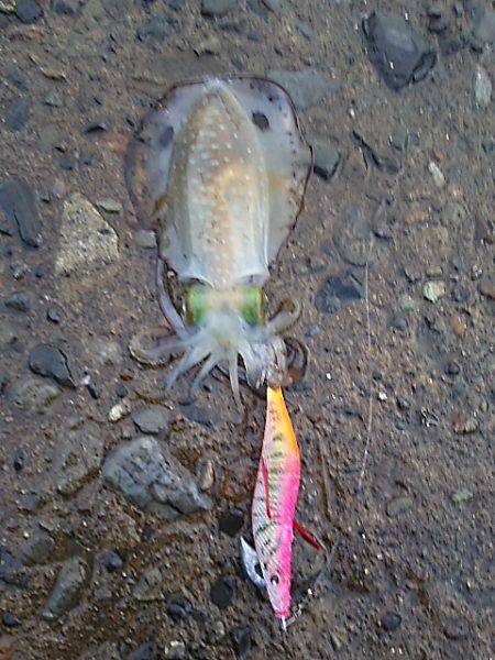 遠征２日目 須賀利編