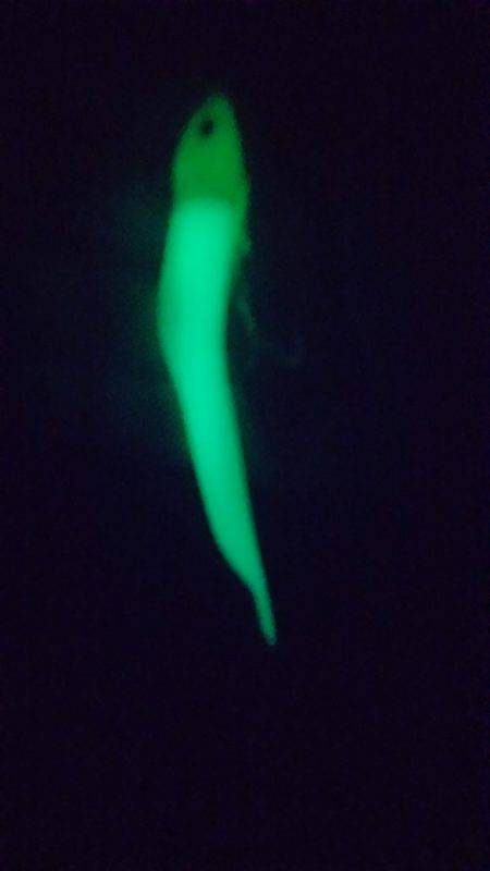 友人家族とワインド