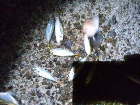 夜に涼しみにどうだろう？