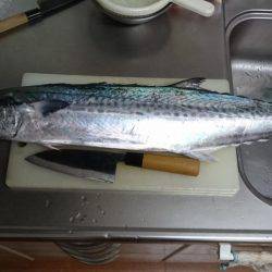 海英丸でサワラゲット！