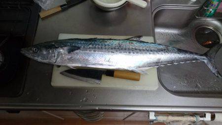 海英丸でサワラゲット！