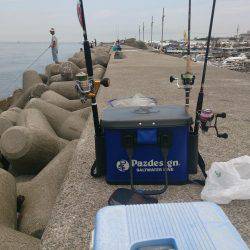 ショ―トバイト