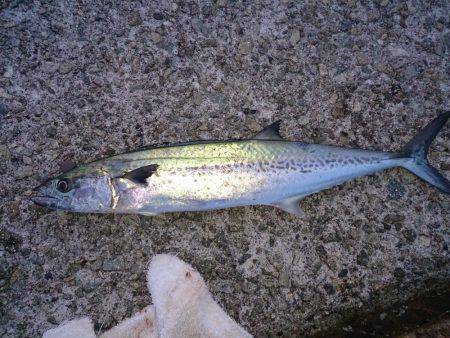 遊びすぎやで(笑)