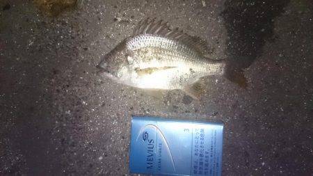 チーバスチビレ