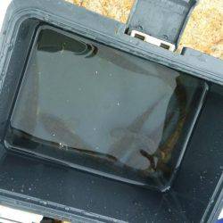 ハゼはいるかな？