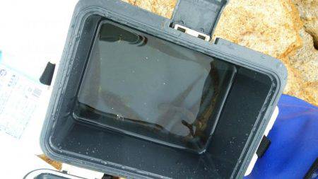 ハゼはいるかな？