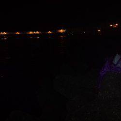 ようこそ太刀ちゃん(*^_^*)