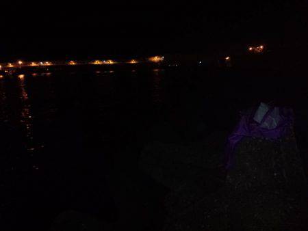 ようこそ太刀ちゃん(*^_^*)