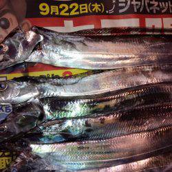 太刀魚うおー！