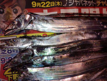 太刀魚うおー！