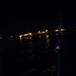 太刀魚サイズＵＰ！