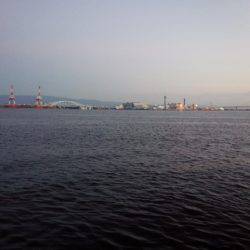 今年初南港。。