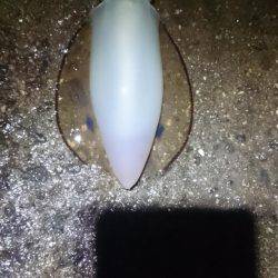 雨にも負けず。