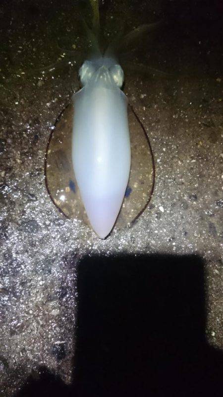 雨にも負けず。