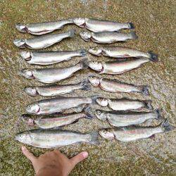 名阪森林パーク