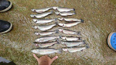 名阪森林パーク