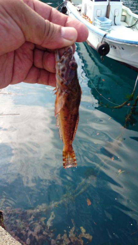 デイアジング　撃沈