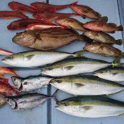 志摩ジギング！