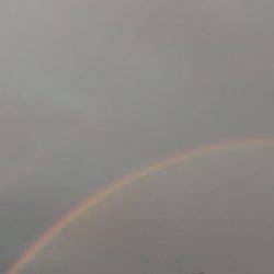 今度は本命アオリイカ釣れました！