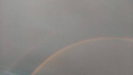 今度は本命アオリイカ釣れました！