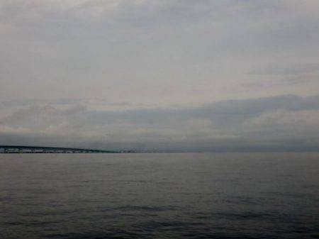 青物調査のはずが・・・