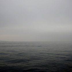 青物狙いで。（黒いけど一応は青物）