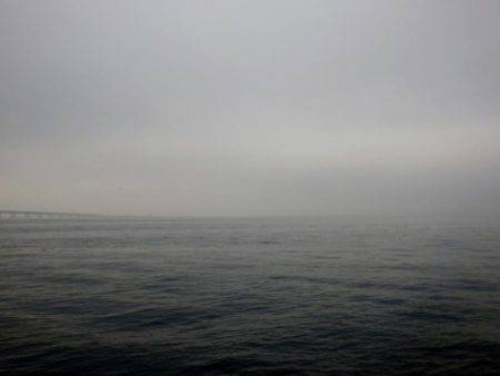 青物狙いで。（黒いけど一応は青物）