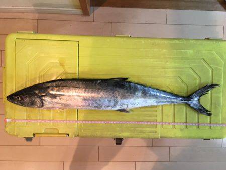 ショアジギング