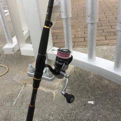 ボラジャンプ！　と思ったら。。。