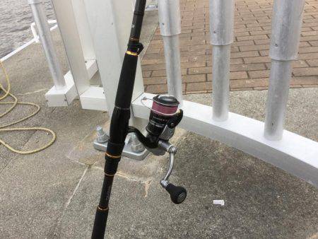 ボラジャンプ！　と思ったら。。。