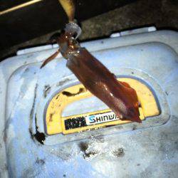 アジュール舞子は大混雑