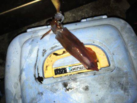 アジュール舞子は大混雑