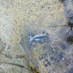 山陰海岸ジオパークにて