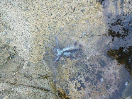 山陰海岸ジオパークにて