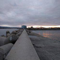 早朝のタチウオ