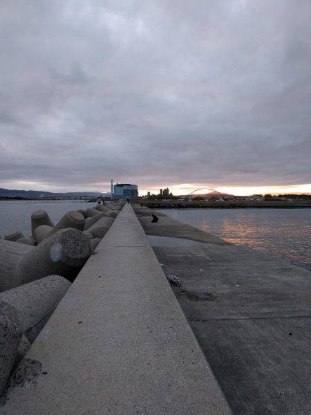 早朝のタチウオ