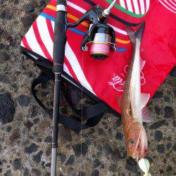 青岸にてタチウオと…