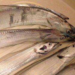 渋い原因は。。。