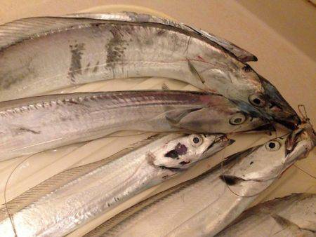 渋い原因は。。。