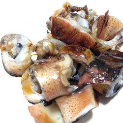 ケンサキとアオリと丸焼きと。