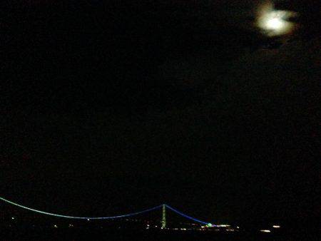 イカの天ぷらが食べたくて