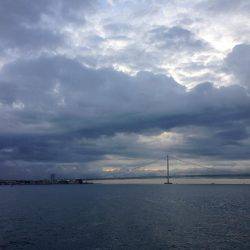 豪雨直後の朝マヅメ釣行 やっぱり渋い