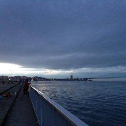 安物竿では当たり分からず。