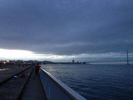 安物竿では当たり分からず。